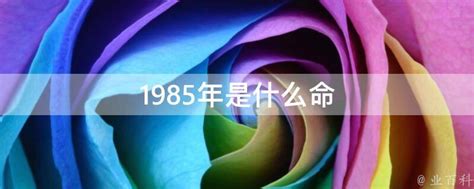 1985年是什么年|1985年是什么年